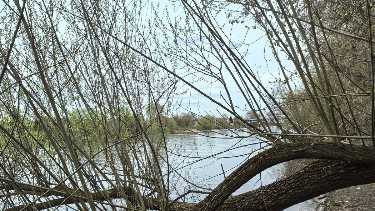 ***весенний пейзаж*** - Olga Oskolkova