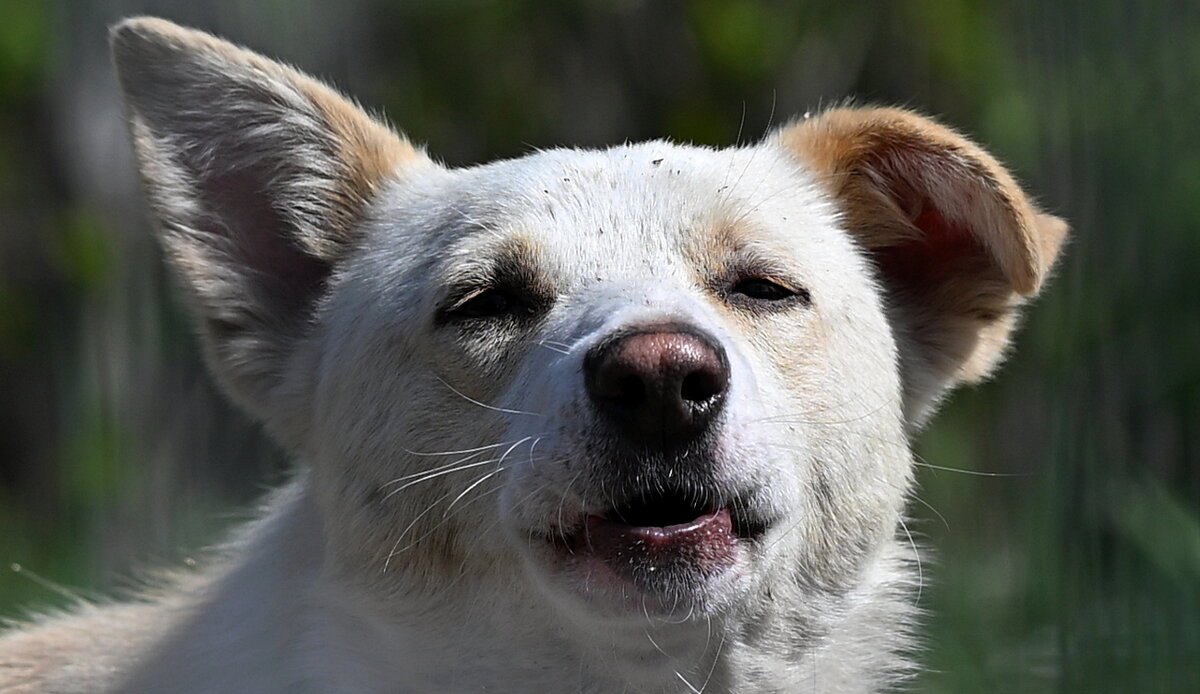 эти глаза напортив... - Aleksandr .