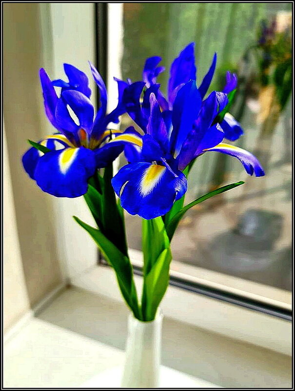 Ирисы - Ольга Довженко