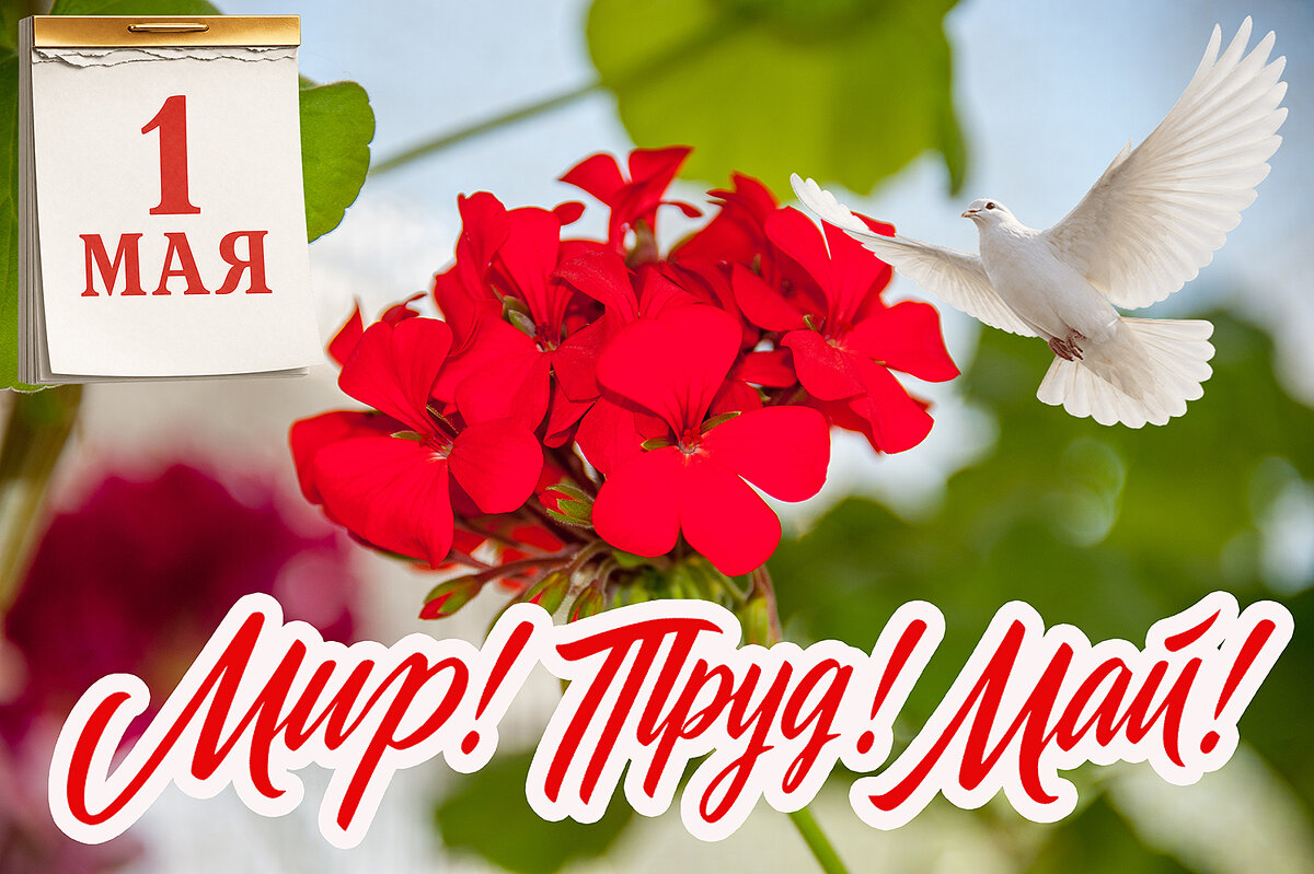 С Первомаем, друзья! - Валерий Иванович