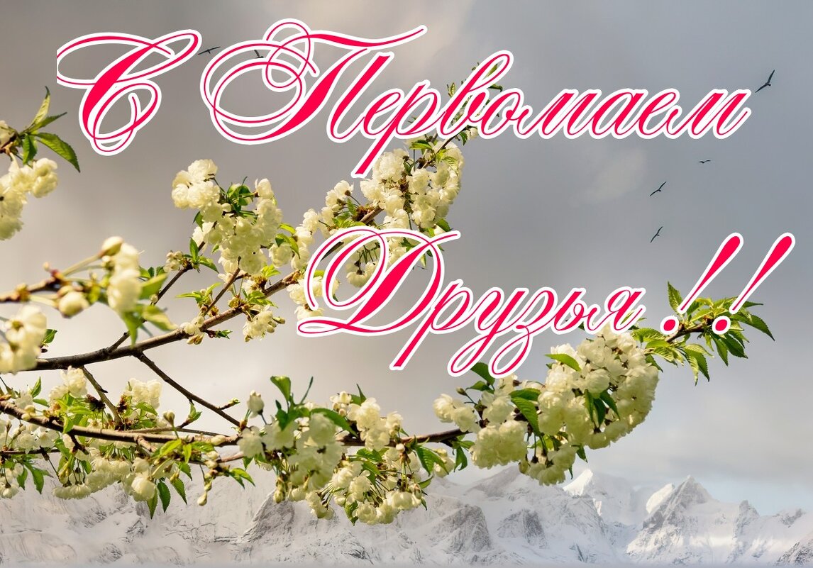 С Первомаем, дорогие друзья! - Ravile 
