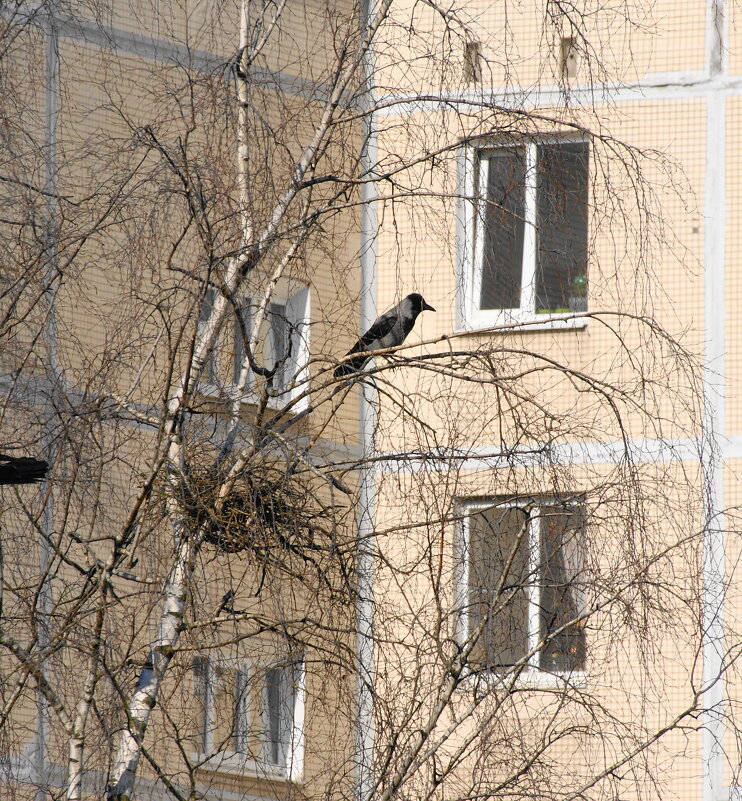 ЖДЁТ - Виктор Никитенко
