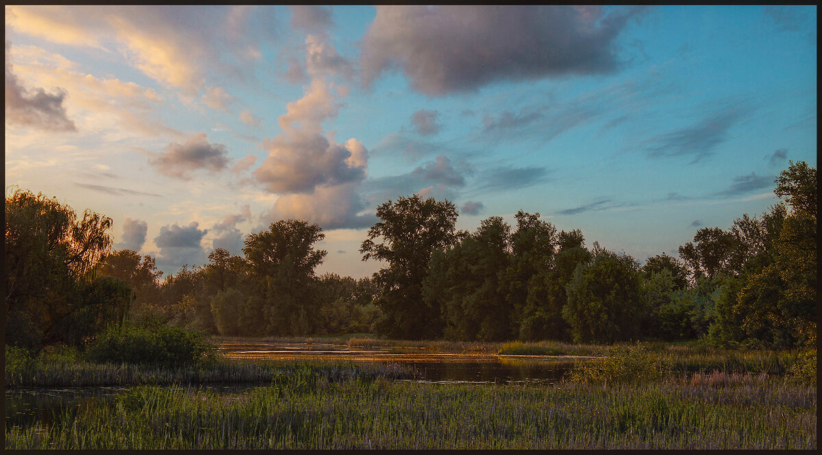 *** - Александр. AVG100 ---