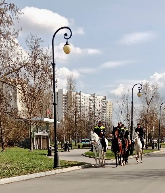 Конная полиция в Царицыне - Nataly St. 
