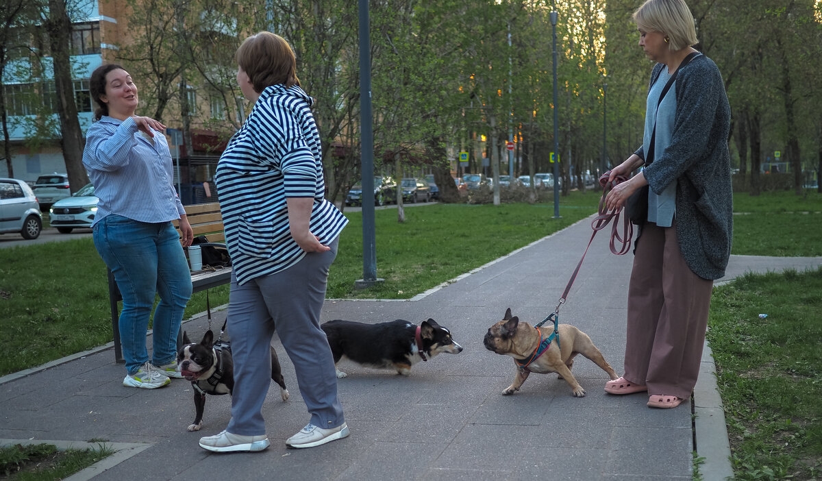 Городская Зарисовка - юрий поляков Городская Зарисовка - юрий поляков