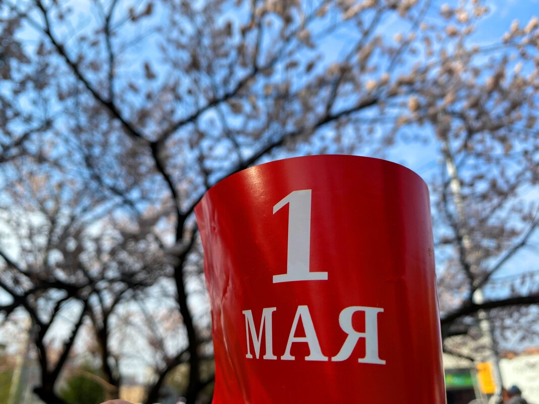 Май - Savayr 