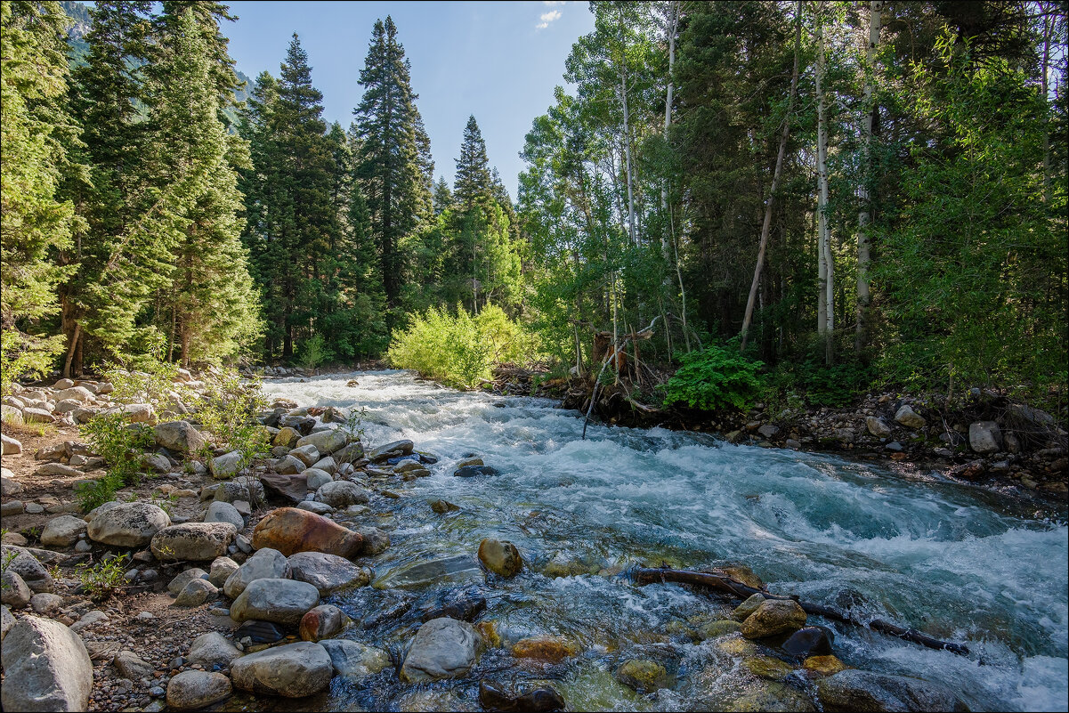 Ручей Little Cottonwood Creek - **** vedin