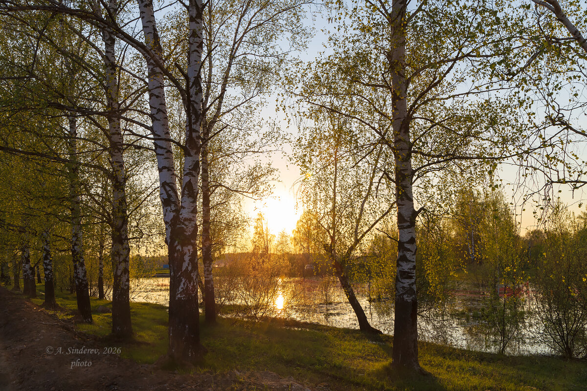 Майская природа - Александр Синдерёв