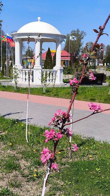 Стародуб. Сквер 40-летия Победы. - Ольга 