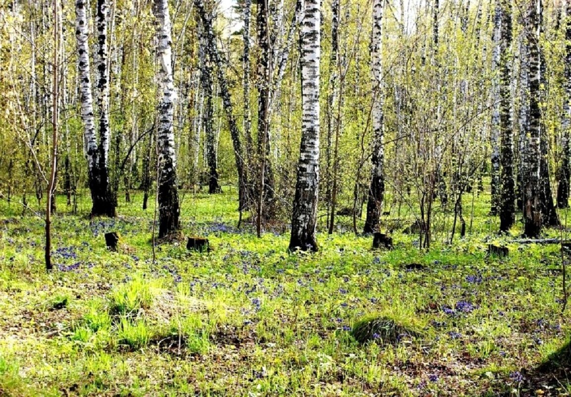 В городском парке - Галина Нестратова