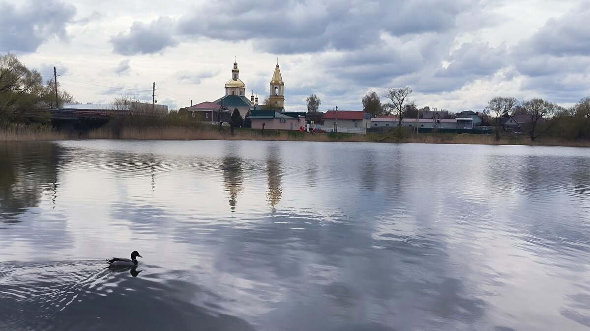 Стародуб. Озеро Бабинец. - Ольга 