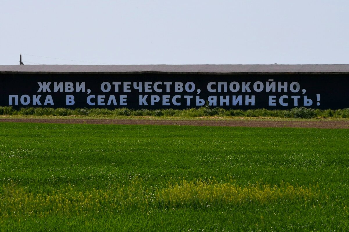 Колхозный арт объект)) - Татьяна Евдокимова