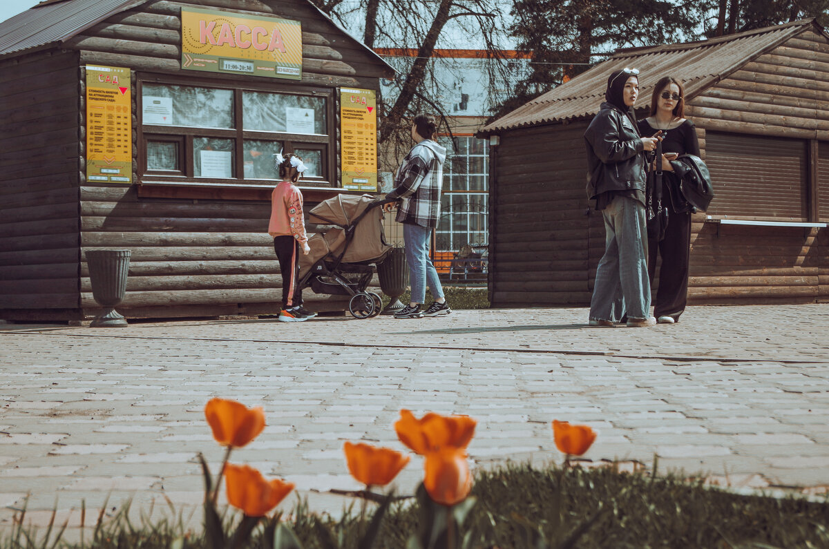 Что и сколько стоит. - Михаил К