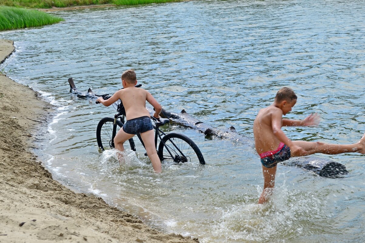 В жаркий день на водоеме. - Михаил К