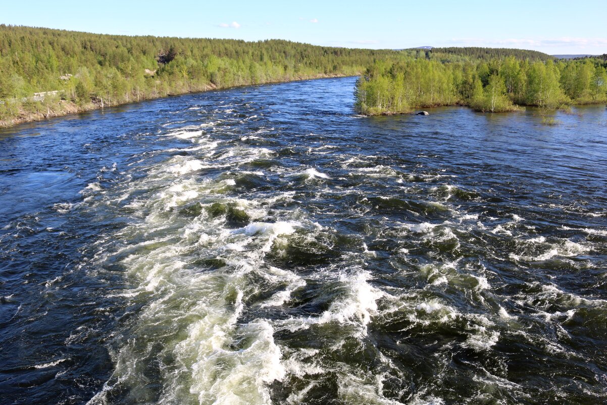 Начало лета на Ниве - Ольга 