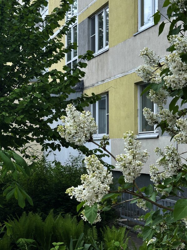 Весна в городе - Олег 
