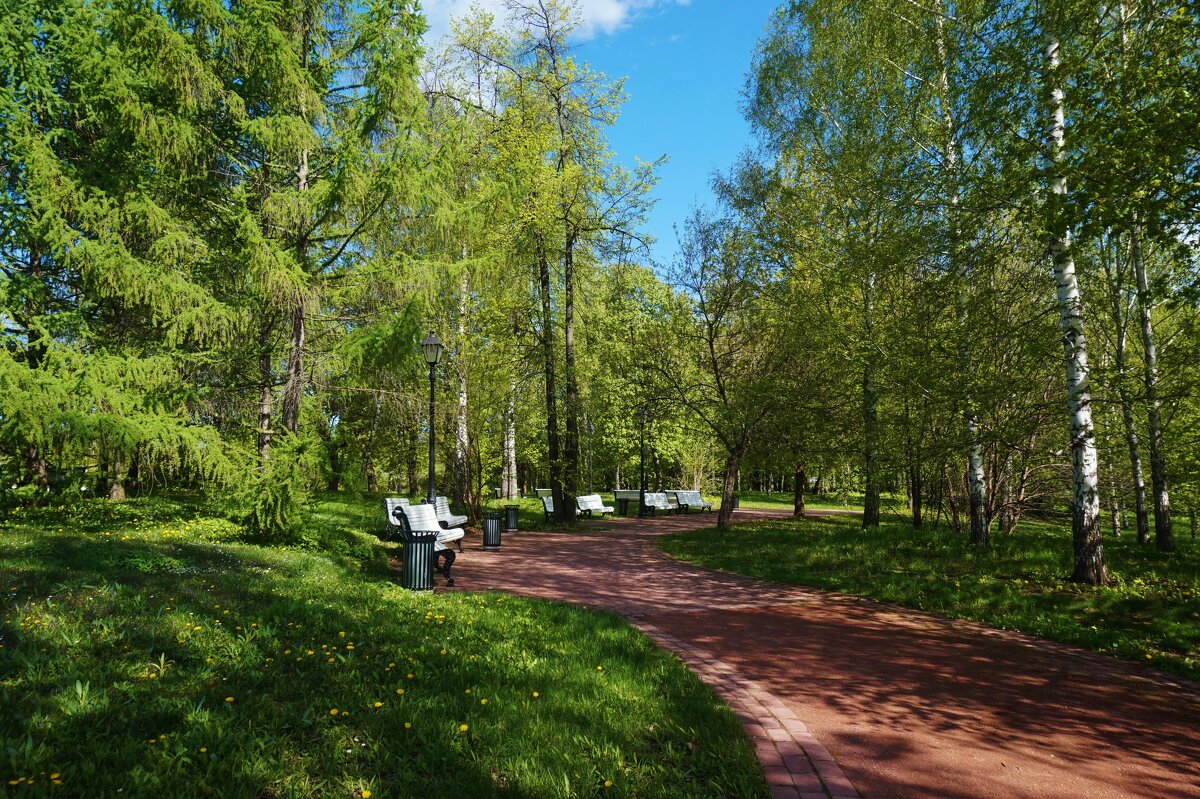 Утро в парке - Nataly St. Утро в парке - Nataly St.
