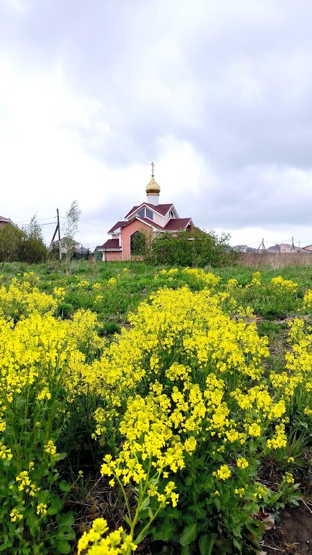 Покровская церковь. - Ольга 