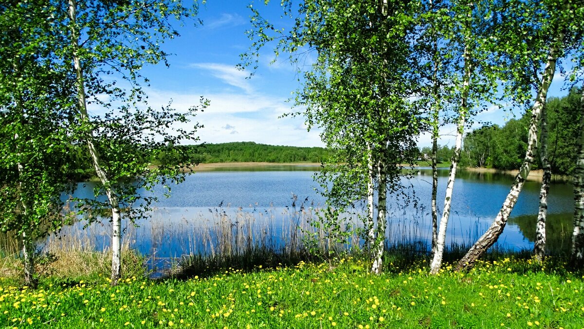 Моя Смоленщина. - Милешкин Владимир Алексеевич Моя Смоленщина. - Милешкин Владимир Алексеевич