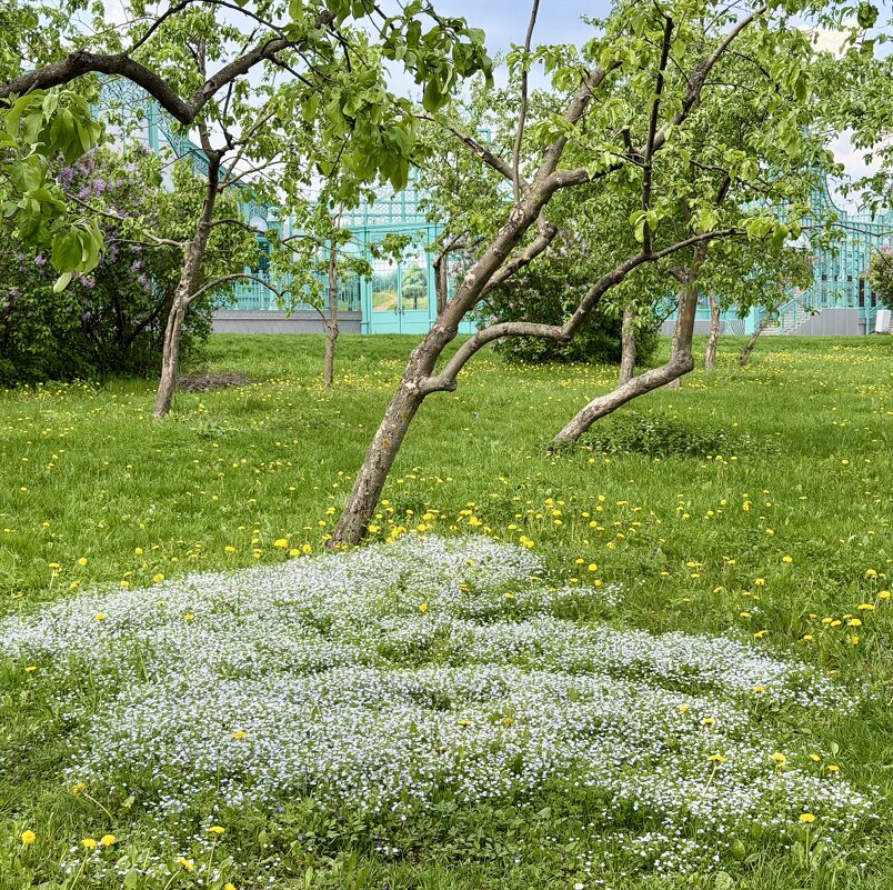 Прогулка в парке - Pippa 