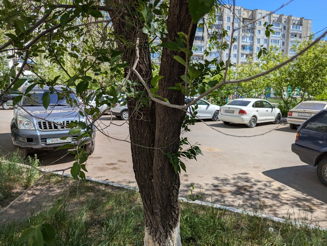 А вокруг,автомобили... - Андрей Хлопонин