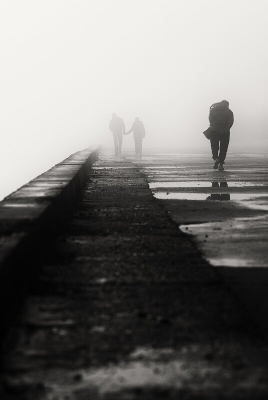 Туманные встречи. - Анатолий Щербак Туманные встречи. - Анатолий Щербак
