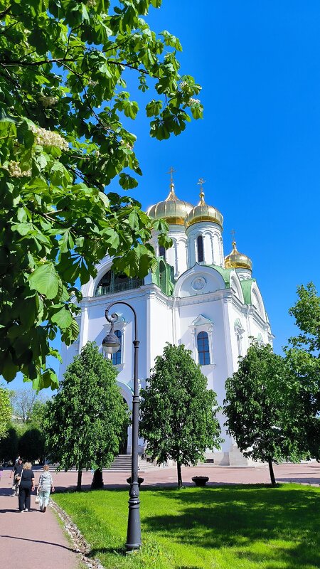 Пушкин. Собор св.вмч. Екатерины - Ольга 