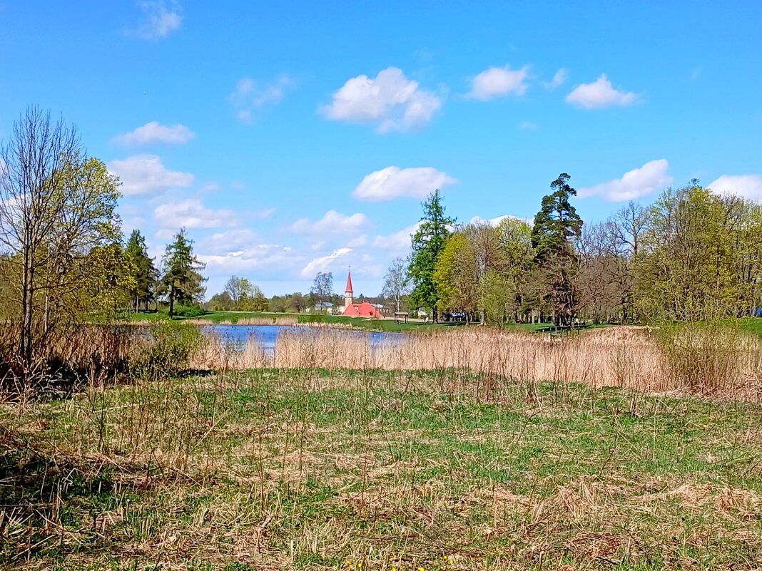 Приоратский парк. - Лия ☼ Приоратский парк. - Лия ☼