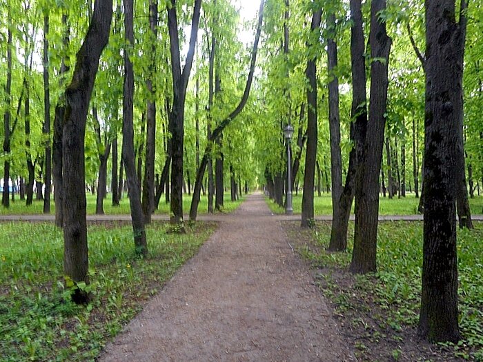 В усадьбе "Михалково", Москва - Елена В усадьбе "Михалково", Москва - Елена