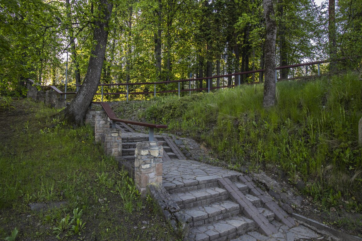 *** - Николай 
