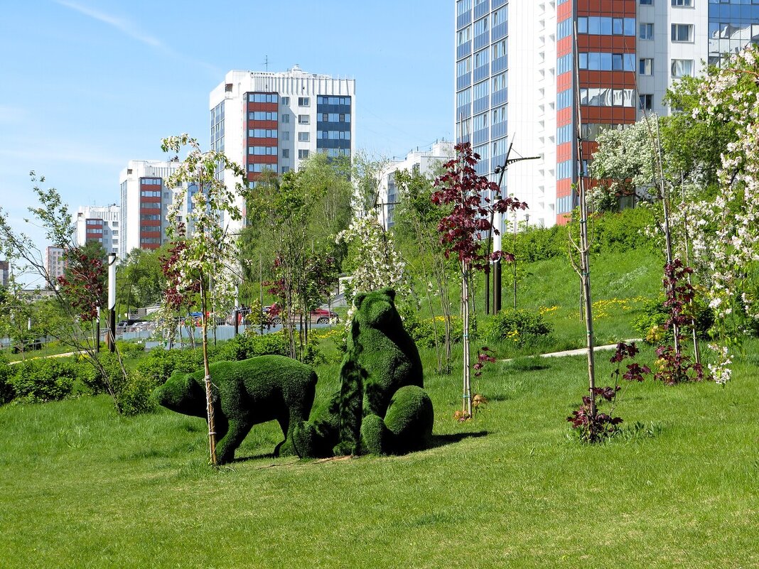 Мишки в городе - Лариса С.