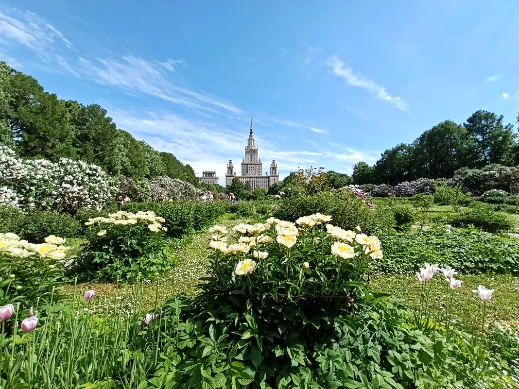 Ботанический сад МГУ - Татьяна Тюменка