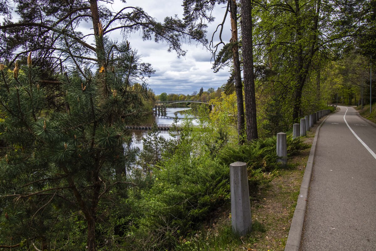 *** - Николай 