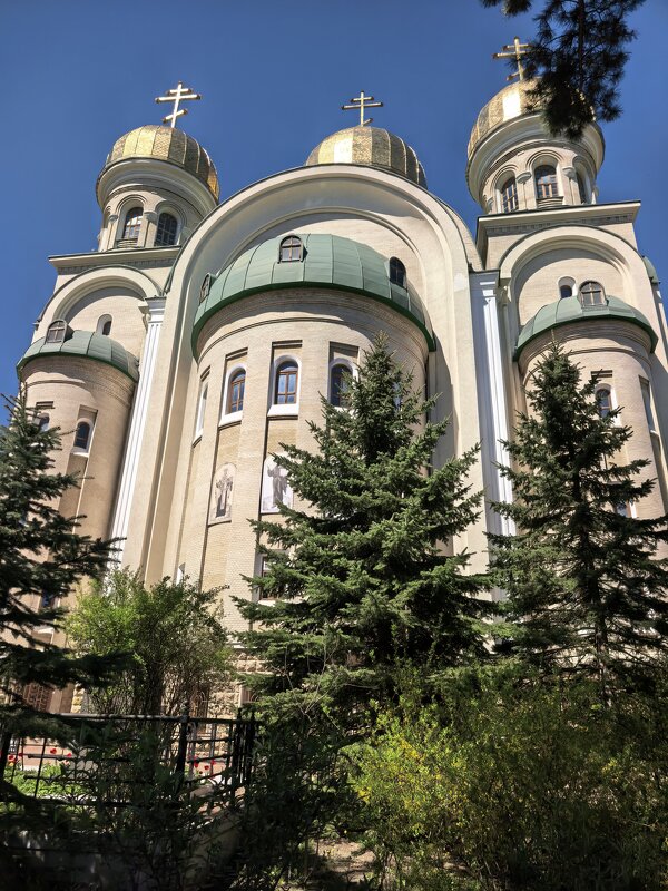 Кафедральный собор - Виктор 