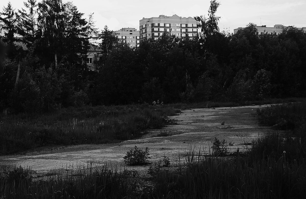 Старая заброшенная дорога. - Василий Палий Старая заброшенная дорога. - Василий Палий
