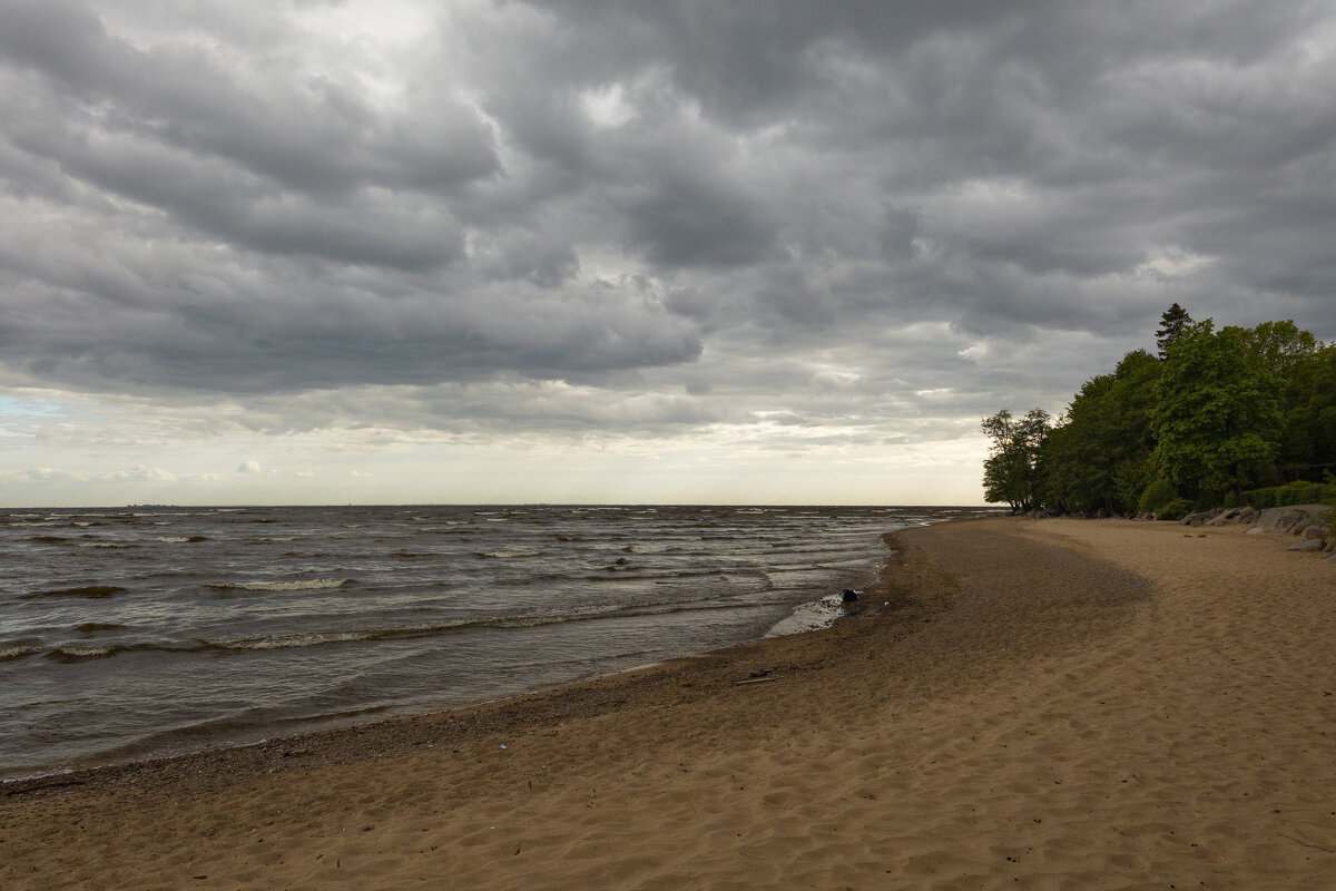 * - Светлана Воробьева