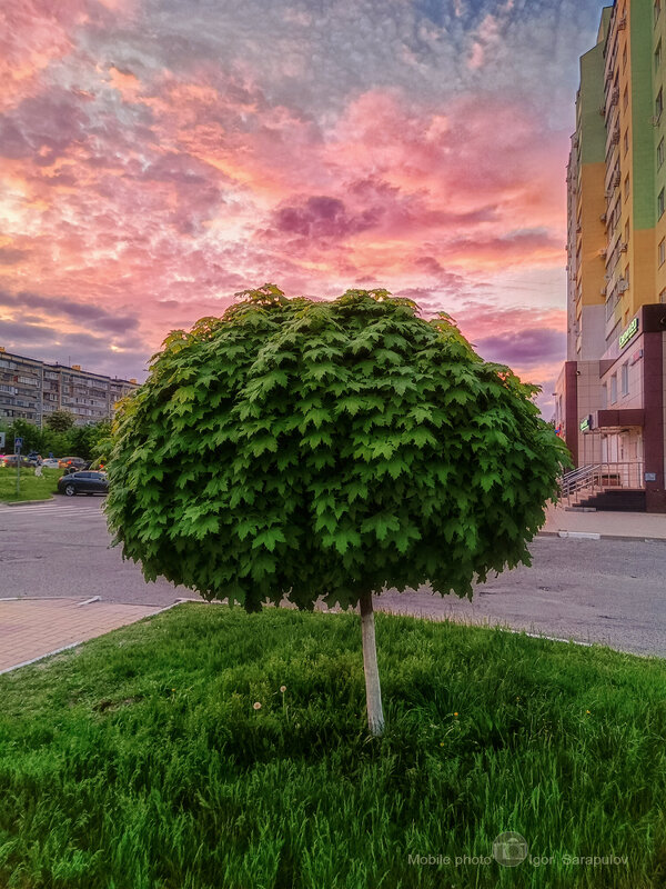 Вечерняя геометрия природы и города - Игорь Сарапулов