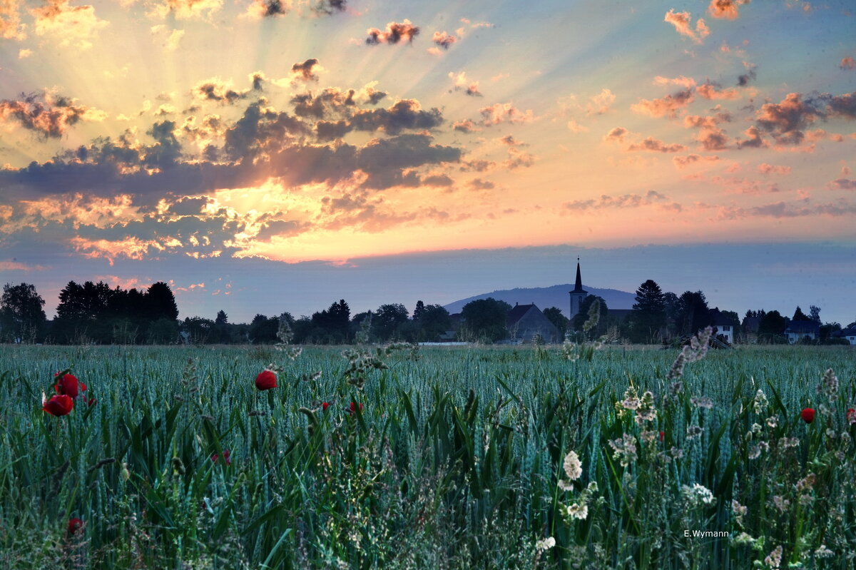 sunrise - Elena Wymann