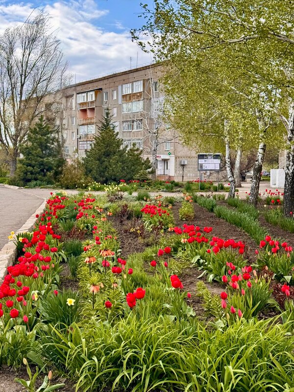 *** - Яна Горбунова