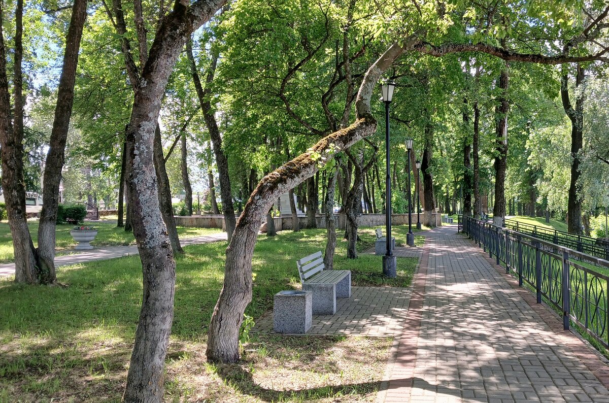 Кировск. Июнь - Наталья Герасимова