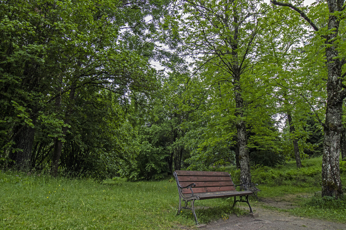 *** - Николай 