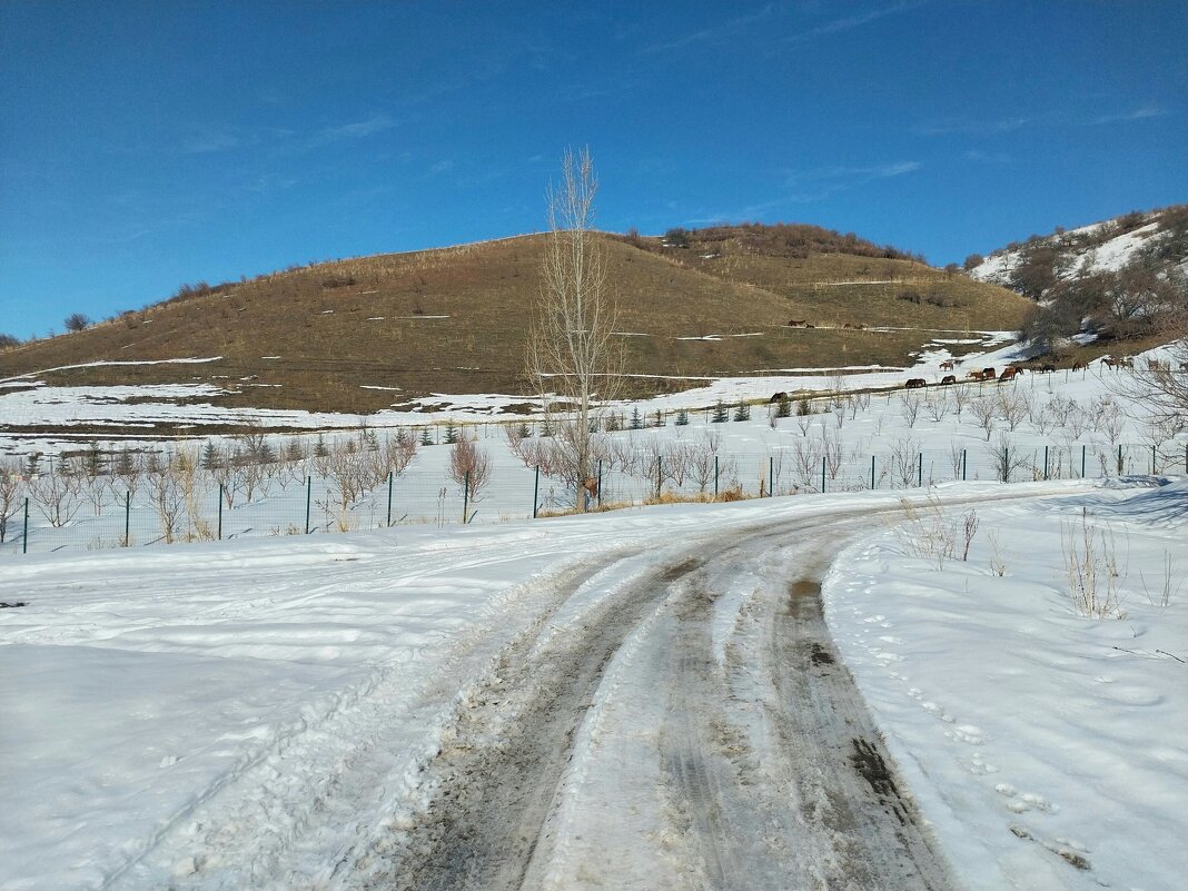Ak Bulak. - Murat Bukaev 