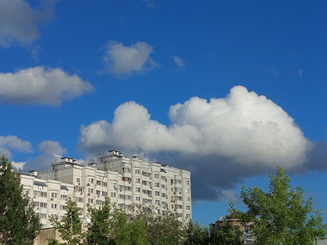 * * * - Андрей Лукьянов * * * - Андрей Лукьянов