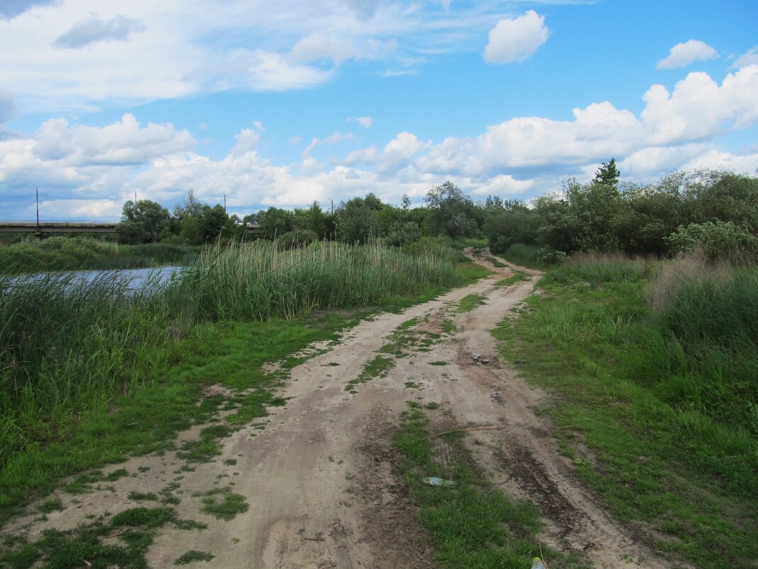 за городом - Елена Шаламова за городом - Елена Шаламова
