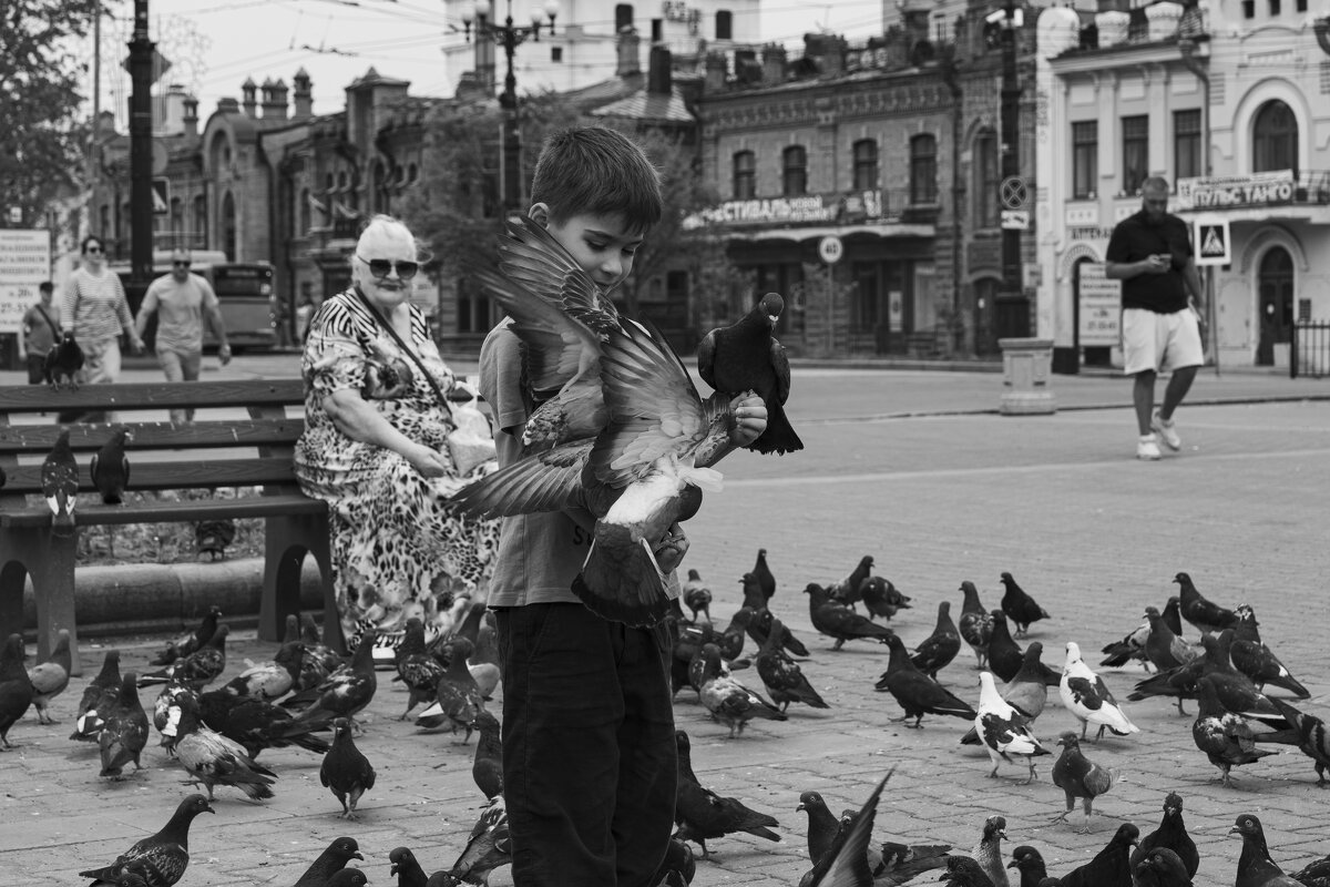 Голуби.. - Виктор Фельдшеров