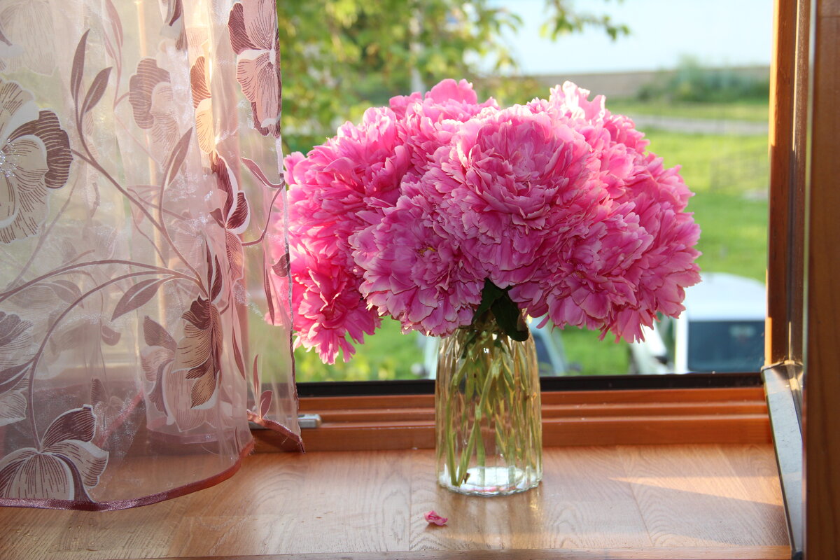 У окна - Венера Чуйкова