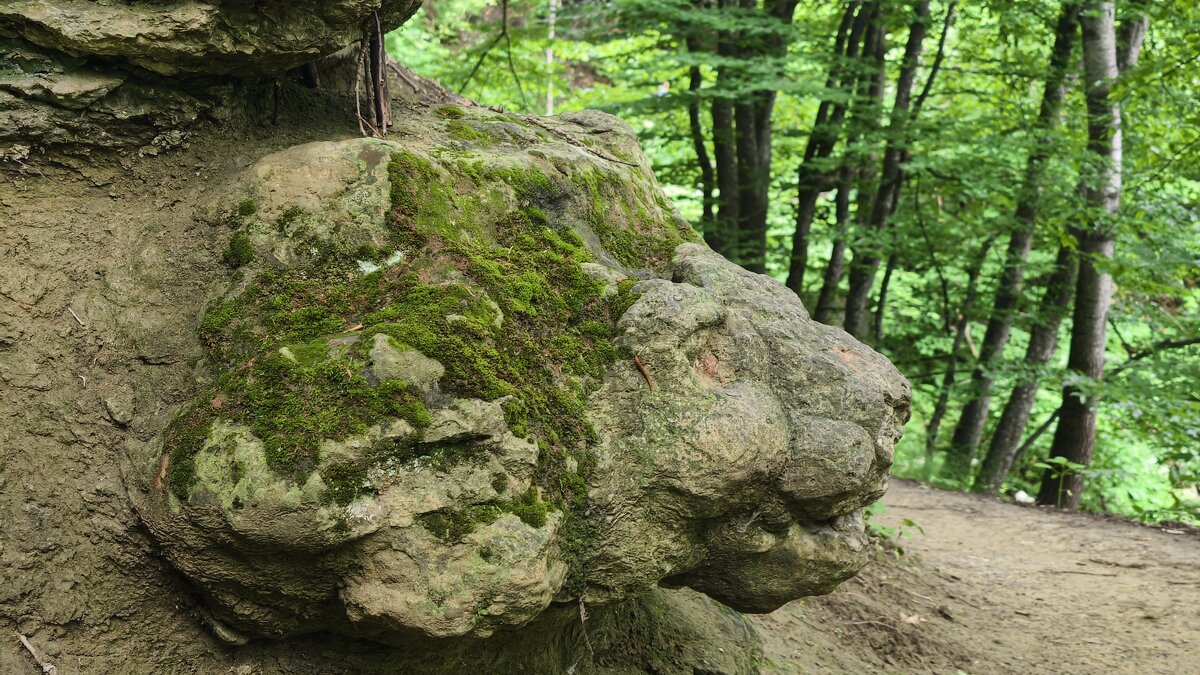 Причуды камня на Косыгинской тропе в Кисловодске - Мариша Тим Причуды камня на Косыгинской тропе в Кисловодске - Мариша Тим