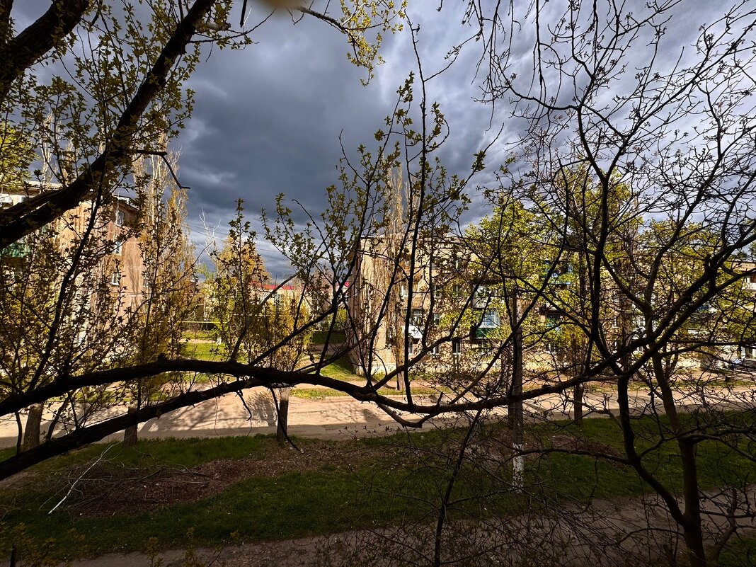 *** - Яна Горбунова