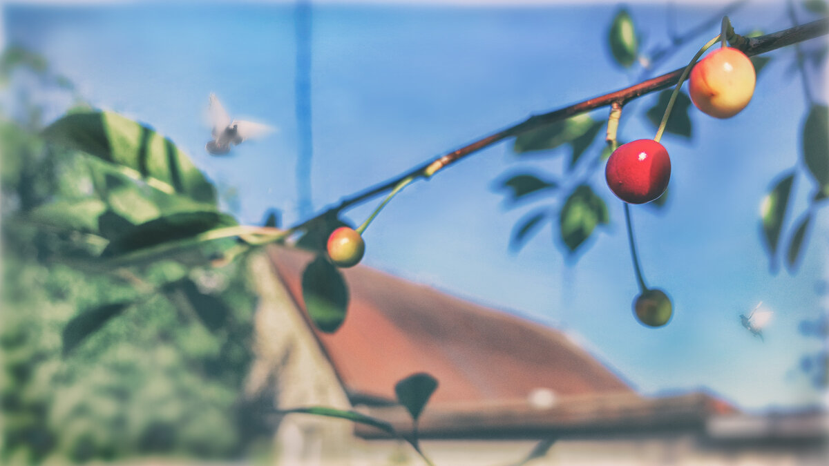 * - AZ east3