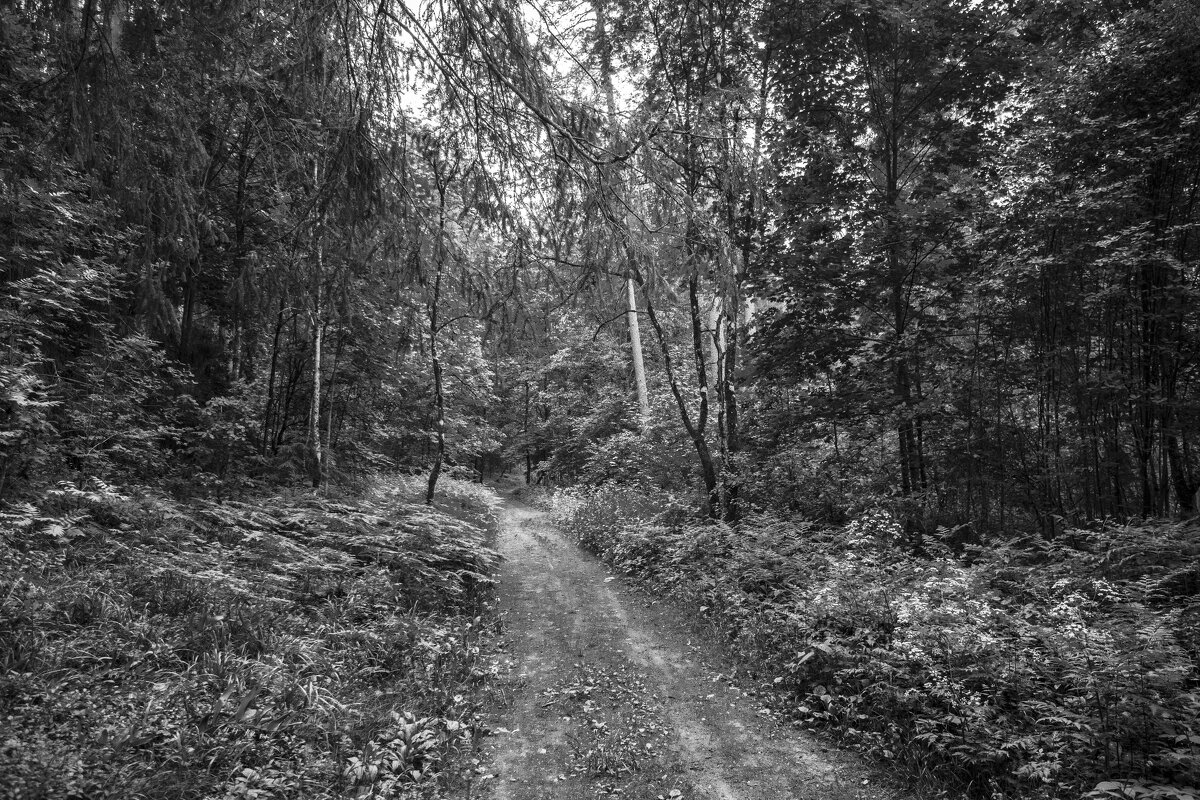 *** - Николай 